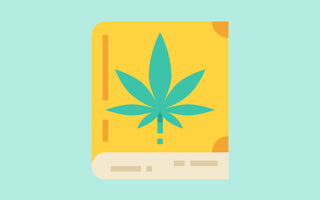 The Crucial Role of Cannabis Education in Today’s Society