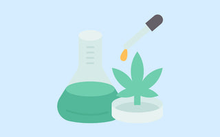 Cannabis Career and Allora Labs Join Forces